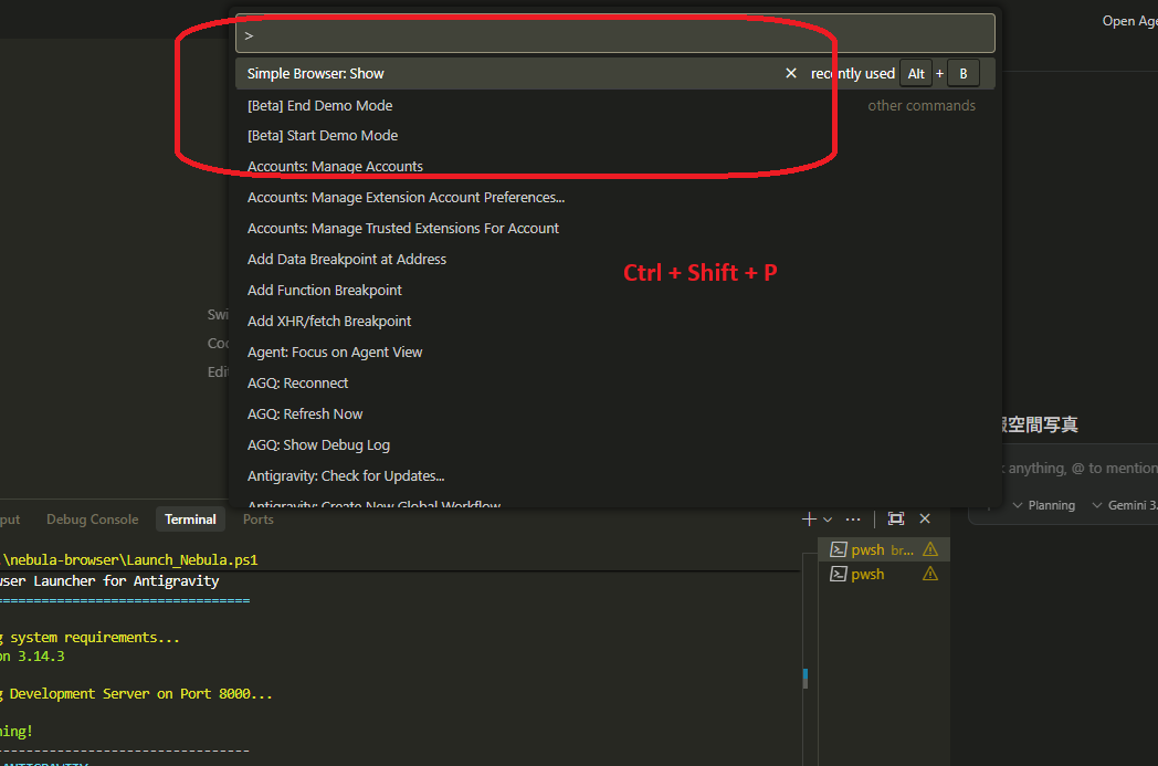 Ctrl+Shift+P で Simple Browser: Show を選択